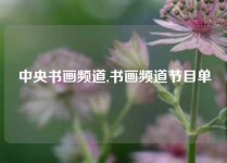 中央书画频道,书画频道节目单