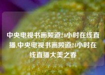 中央电视书画频道24小时在线直播,中央电视书画频道24小时在线直播大美之春