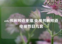 cctv书画频道重播,央视书画频道电视节目几套