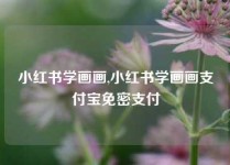 小红书学画画,小红书学画画支付宝免密支付