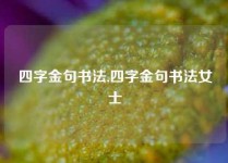 四字金句书法,四字金句书法女士