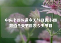 中央书画频道今天节目表,书画频道全天节目表今天节目