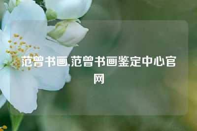 范曾书画,范曾书画鉴定中心官网