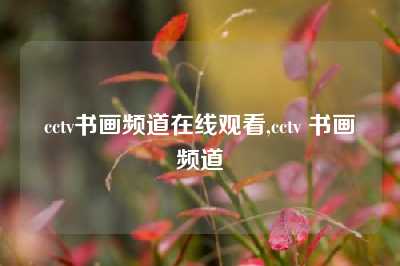 cctv书画频道在线观看,cctv 书画频道