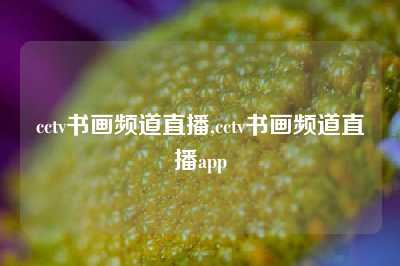 cctv书画频道直播,cctv书画频道直播app